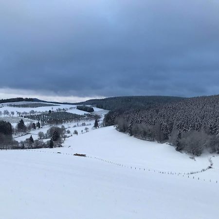 Appartement Familie Willems Winterberg 3 エクステリア 写真