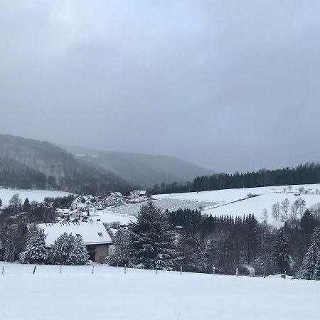 Appartement Familie Willems Winterberg 3 エクステリア 写真