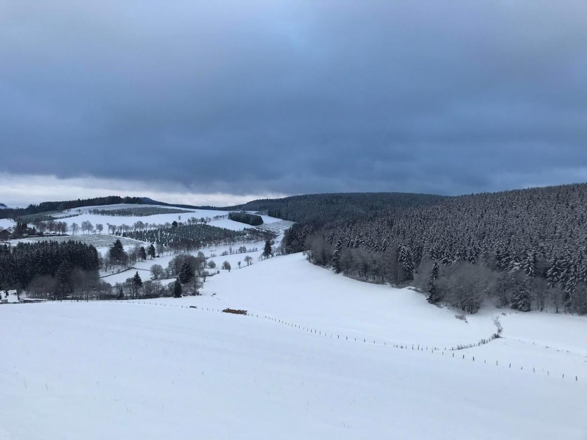 Appartement Familie Willems Winterberg 3 エクステリア 写真