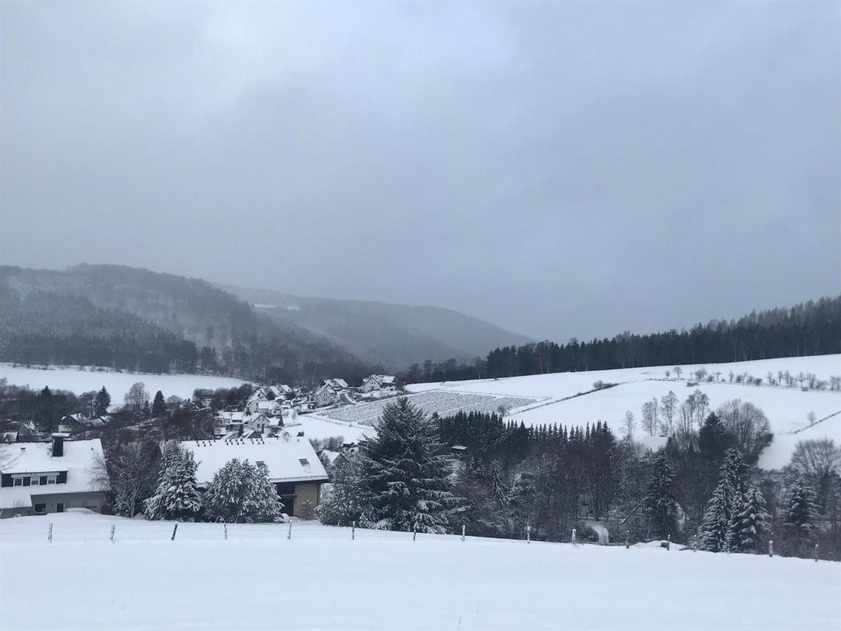 Appartement Familie Willems Winterberg 3 エクステリア 写真