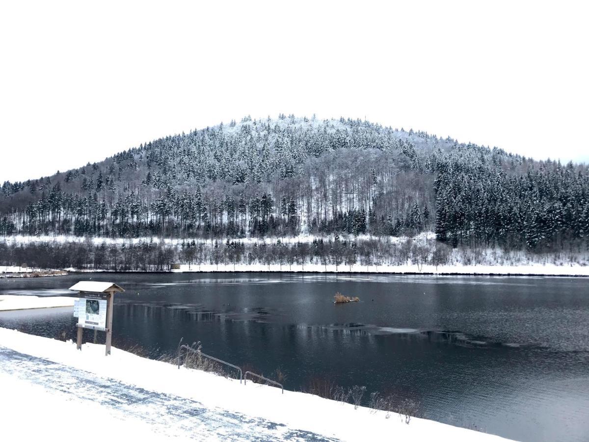 Appartement Familie Willems Winterberg 3 エクステリア 写真