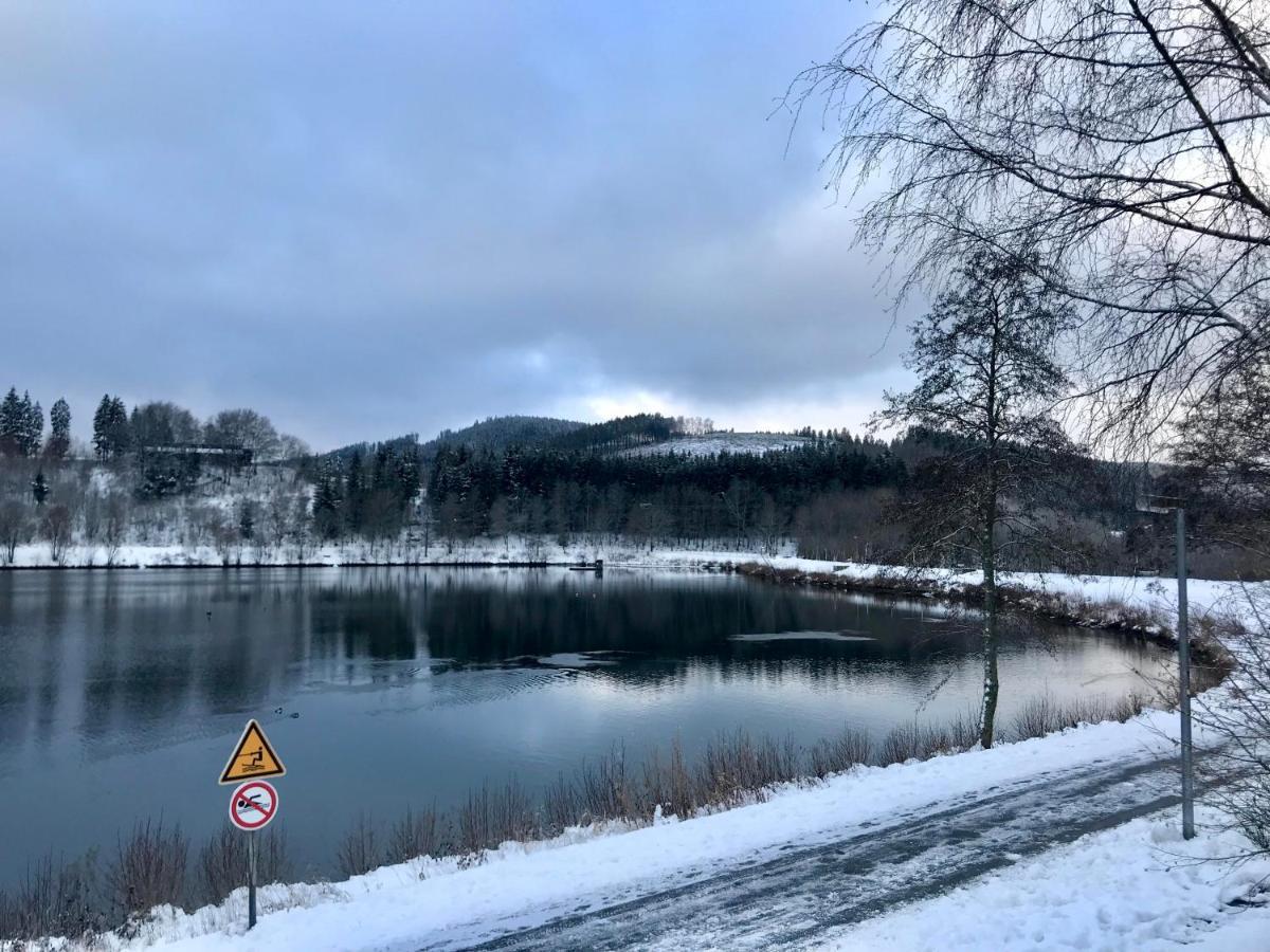 Appartement Familie Willems Winterberg 3 エクステリア 写真